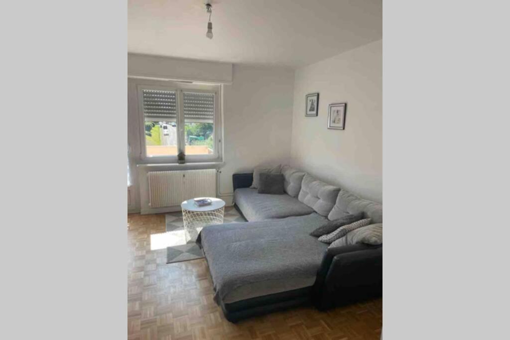Tres Bel Appartement F4 Proche Gare Riedisheim Екстер'єр фото